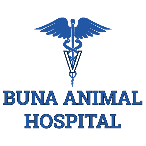 Buna Animal Hospital